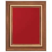 18" x 25" American Walnut Airflyte Frame with Gold Trim and Red Velour Backing (Assembled)