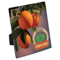 6" x 6" ChromaLuxe Flat Top Photo Panel with Easel, Style CLX5931M