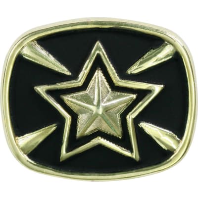 Gold/Black Star Champion Ring Insert