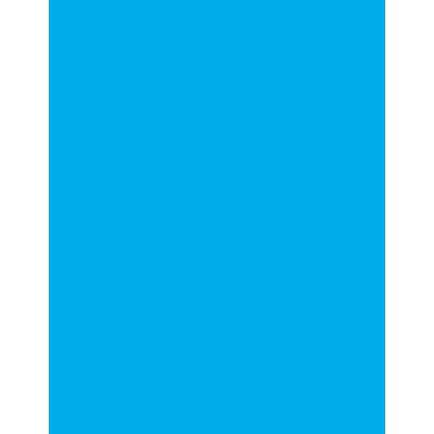 12" x 24" x 1/32" Light Blue Duets ADA Applique Plastic with 3M Adhesive