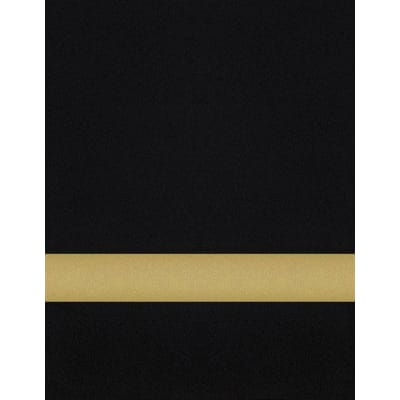 24" x 24" x .020" Black/Gold with 3M Adhesive Duets Flexible Contours Plastic