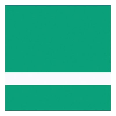 24" x 49" x 1/16" Brushed Satin Spring Green/White Gemini Duets Selects
