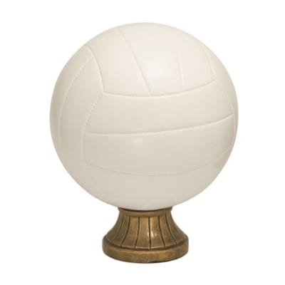 5 1/2" Color Volleyball Resin