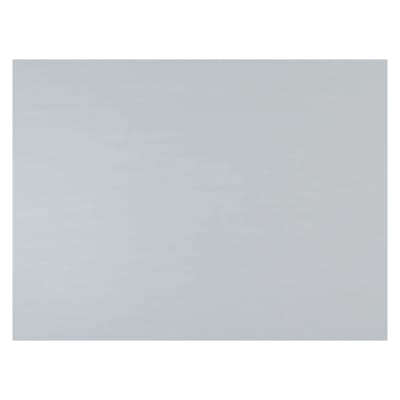 12" x 24" UV Print Satin Silver Aluminum
