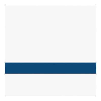 12" x 24" x 1/16" White/Blue Duets Ultimates