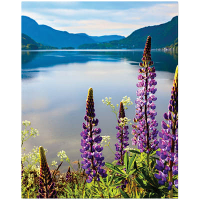 8" x 10" White ChromaLuxe Textured Aluminum Photo Panel