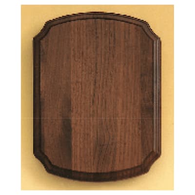 7" x 8" Airflyte American Walnut Plaque, Style ZX377