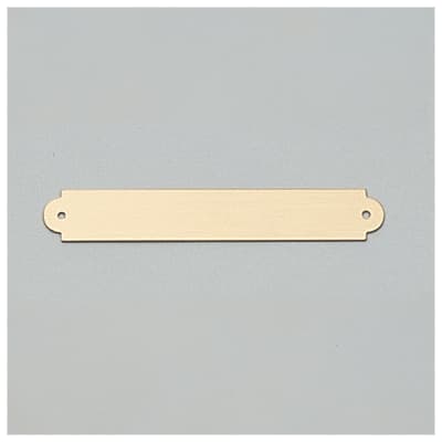 3/8" x 2 1/2" Brushed Gold Brass Plate with Two Holes