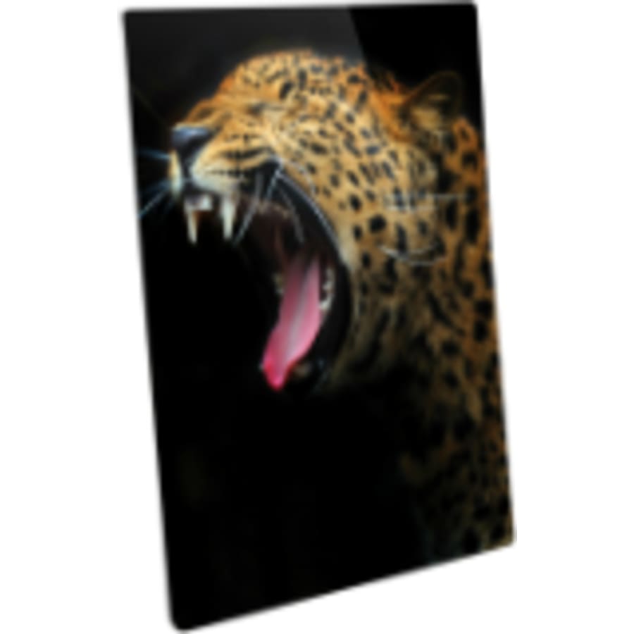 16" x 20" Semi-Gloss White ChromaLuxe Aluminum Photo Panel