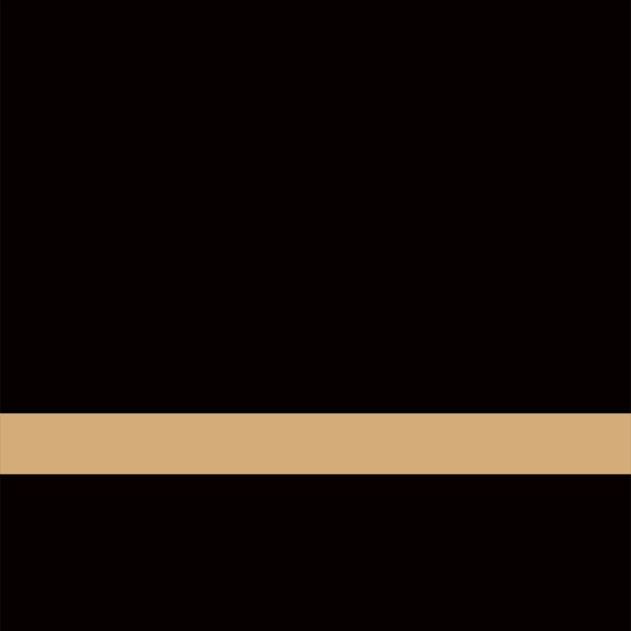 24" x 49" x .020" Gloss Black/Gold Flex Self-Adhesive Plastic