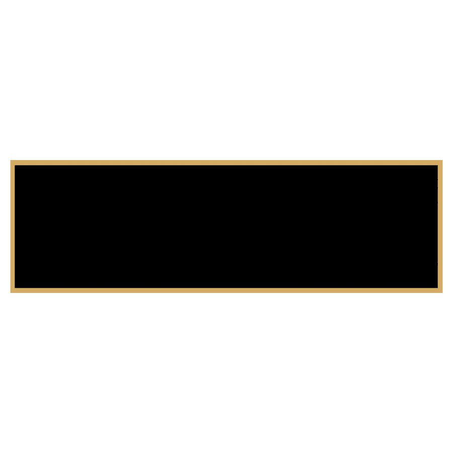 1 3/8" x 4 1/4" Black Laserable Brass Plaque Plate with Gold Border