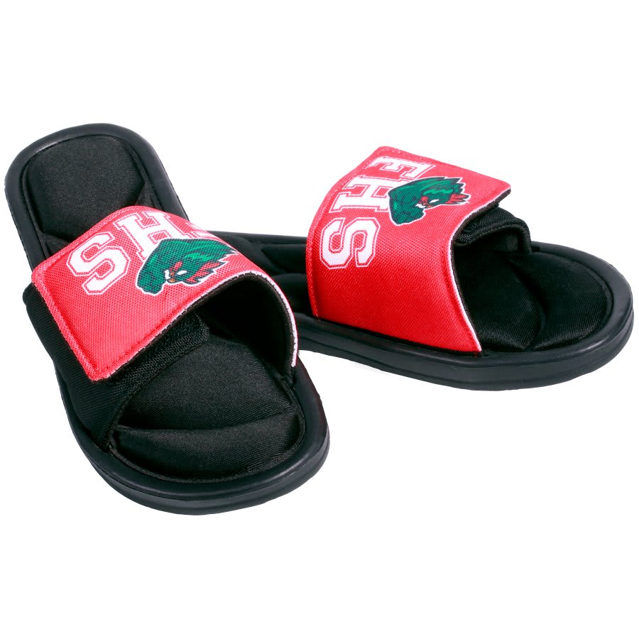 JDS SBL206 in Standard