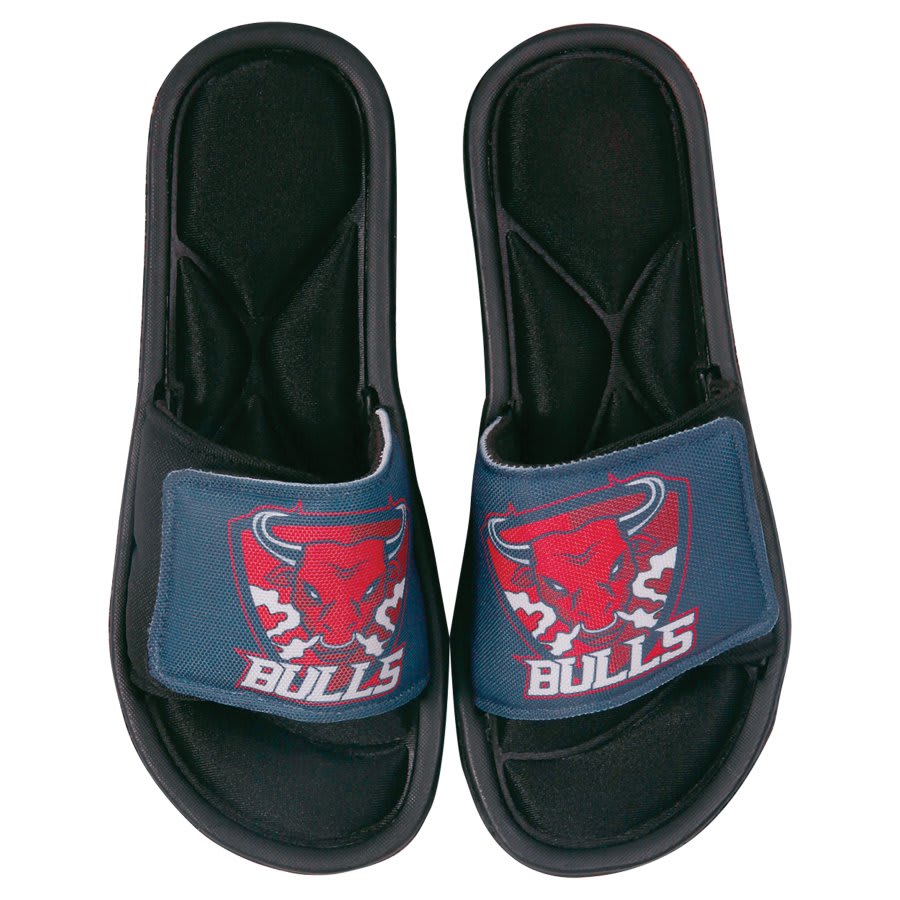 JDS SBL208 in Standard