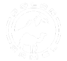 Polar Camel 40oz Straw Lid Mug – Diamondback Branding