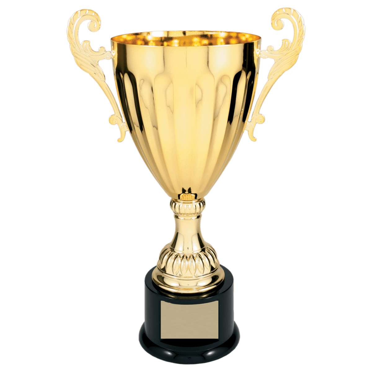 Silver/Gold Metal Cup Trophy 13 1/4