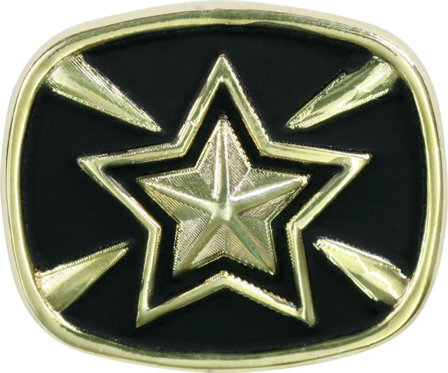 Gold/Black Star Champion Ring Insert