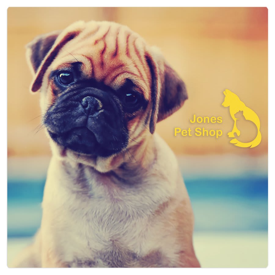 8" x 8" Gloss White ChromaLuxe Aluminum Photo Panel