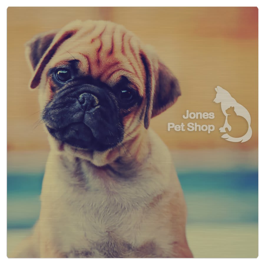 8" x 8" Gloss Silver ChromaLuxe Aluminum Photo Panel