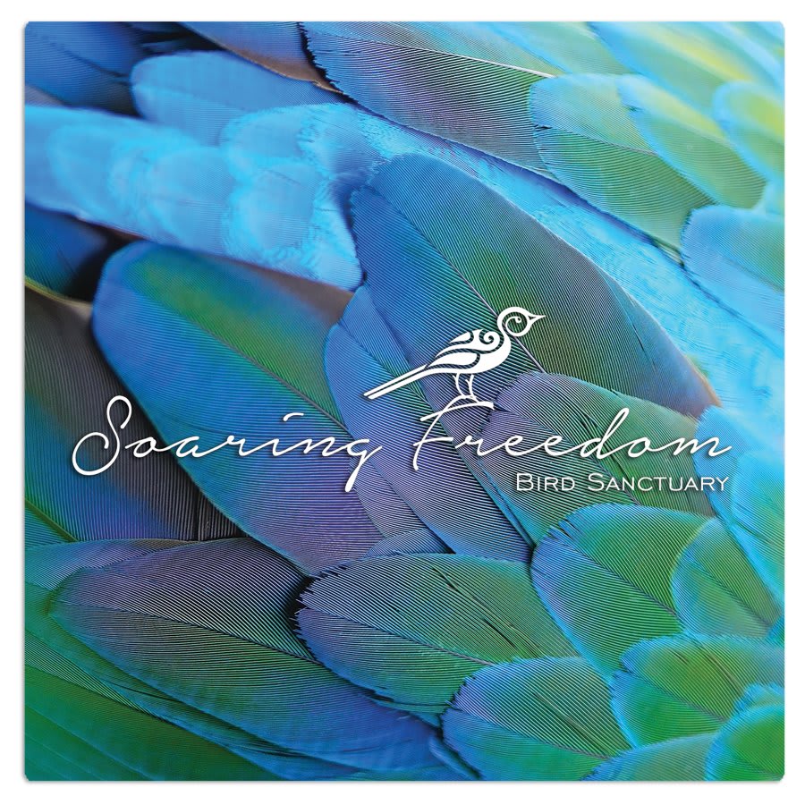 4" x 4" Matte White ChromaLuxe Aluminum Photo Panel