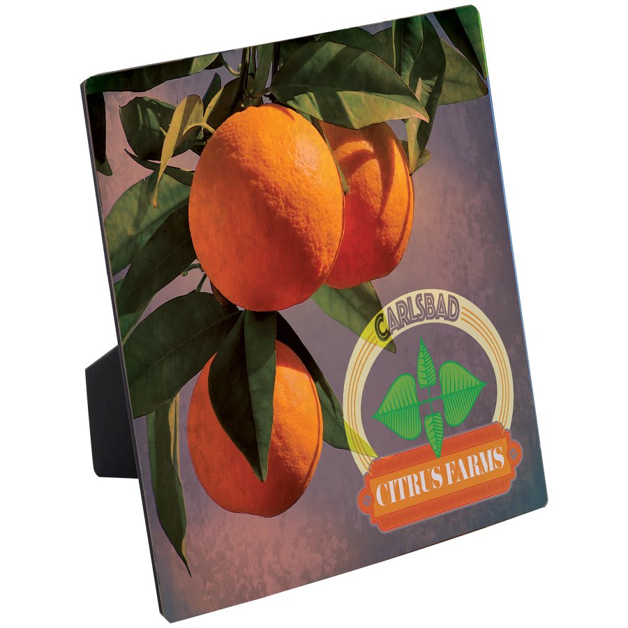 6" x 6" ChromaLuxe Flat Top Photo Panel with Easel