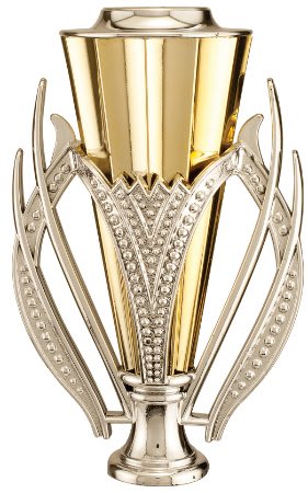 6" Silver/Gold Plastic Cup with Lid