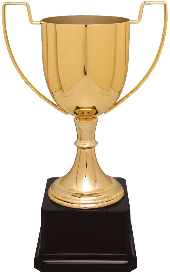 10 1/2" Gold Completed Zinc Cup Trophy on Plastic Base