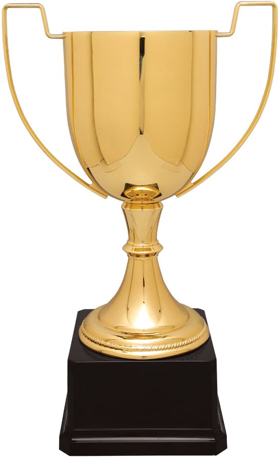 13" Gold Completed Zinc Cup Trophy on Plastic Base