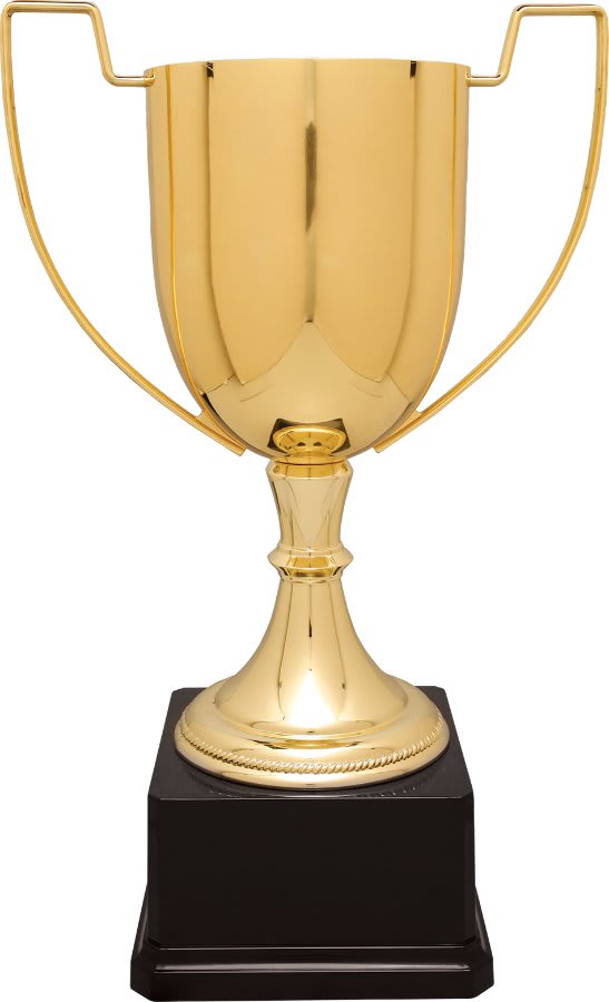 14 1/4" Gold Completed Zinc Cup Trophy on Plastic Base