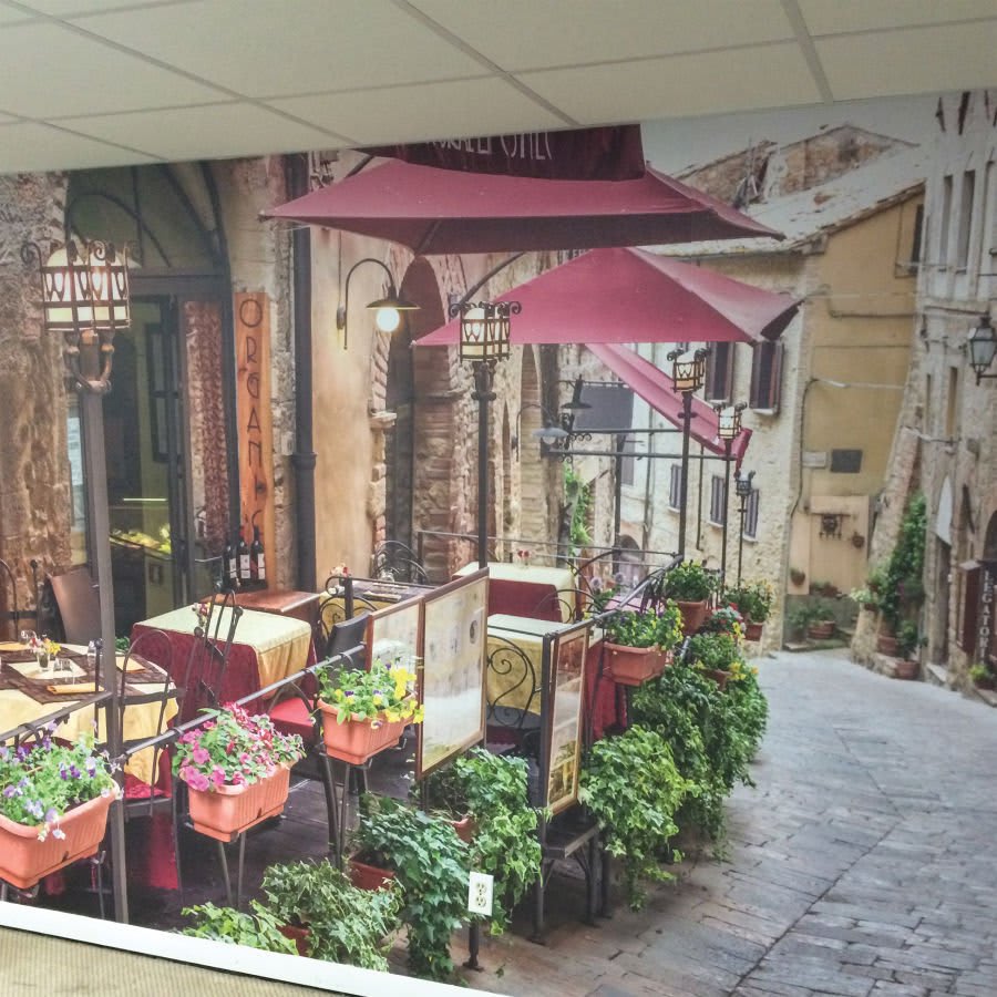 General Formulations 60" x 100' 234 GraphiTex Polyester Wall Fabric