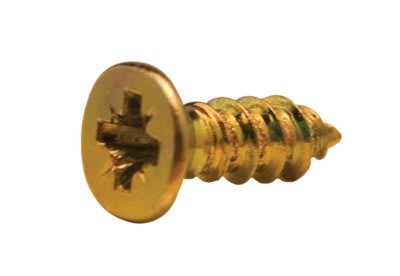 1/2" Gold Phillips Screw
