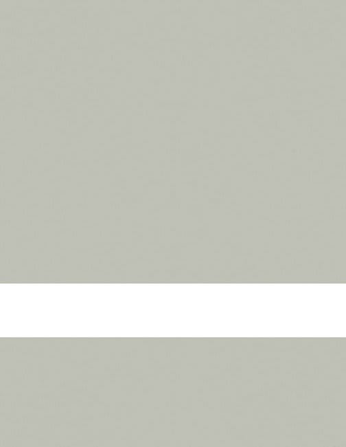 24" x 49" x 1/16" Clear Matte/Cool Grey Duets Reverse Laser XT Plastic