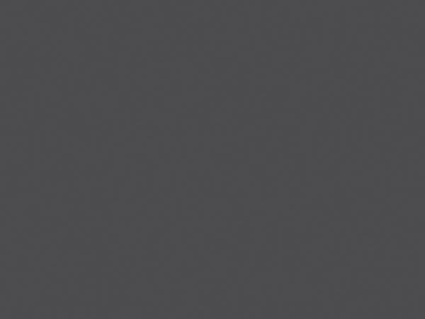 24" x 49" x 1/32" Value Charcoal Gray Duets ADA Plastic with Orafol Adhesive