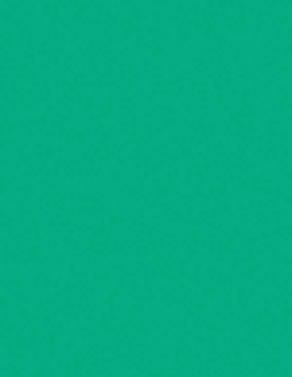 Undersize 1/8" Mint Duets ADA Substrate Plastic