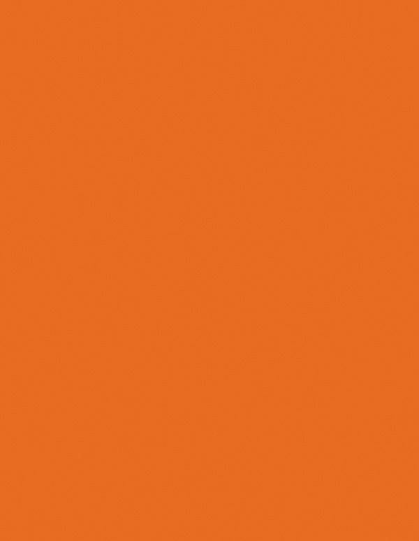 12" x 24" x 1/8" Orange Duets ADA Substrate Plastic