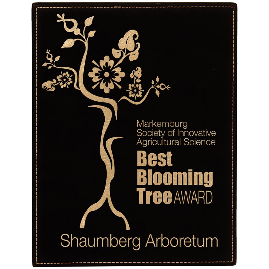 7" x 9" Black/Gold Laserable Leatherette Plaque