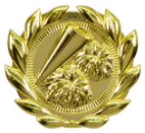 3" Cheer Sport Wreath Plaque Mount