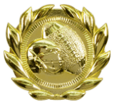 3" Football Sport Wreath Plaque Mount