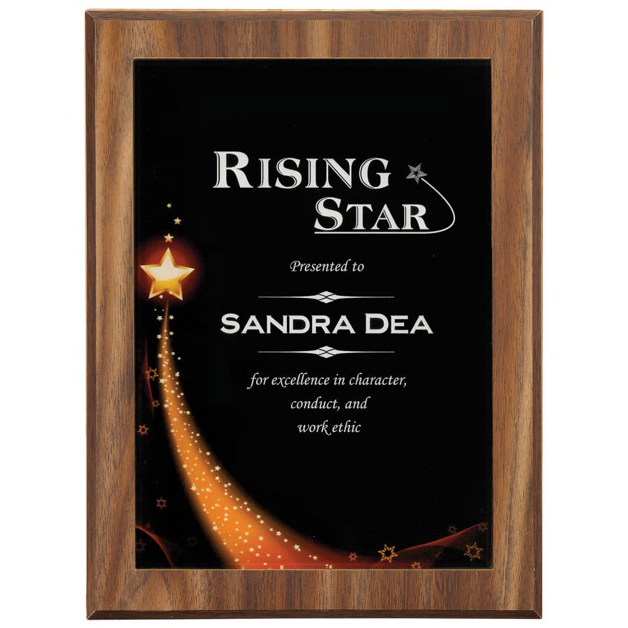 6 7/8" X 9 7/8" Star Galaxy Acrylic Plaque Plate