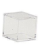 Clear Golf Ball BallQube Display Case