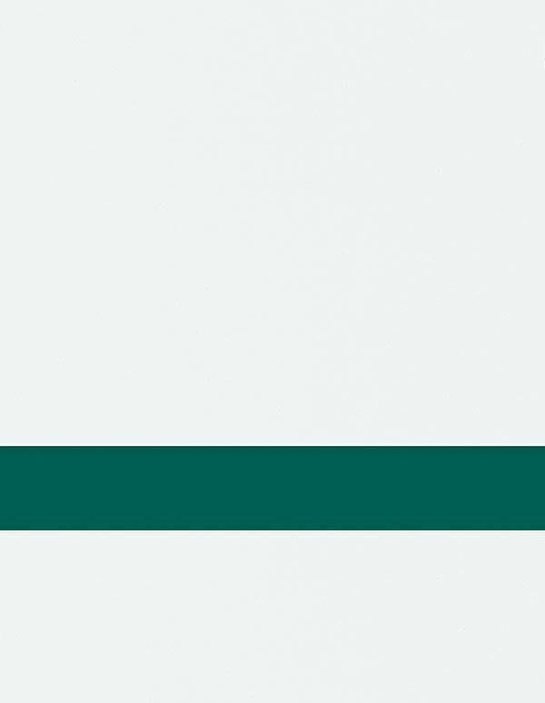 Undersize 1/16" White/Evergreen Matte Duets Rotary Indoor Plastic