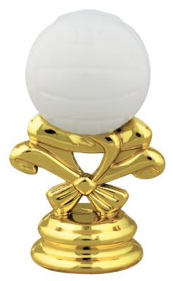 2 5/8" Color Volleyball Trim