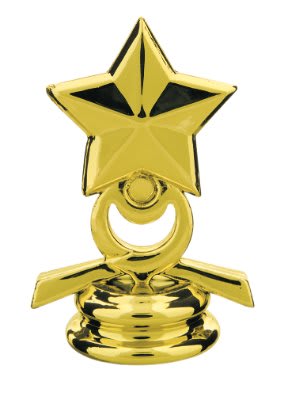 2 1/2" Gold Star Trim