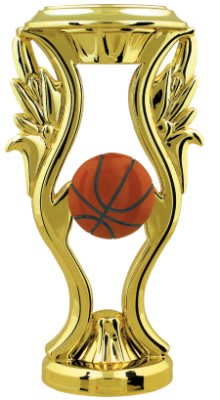 6" Color Basketball Riser