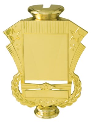 6" Rectangular Riser Insert Holder