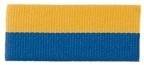 1 1/2" Blue/Gold Neck Ribbon without Snap Clip