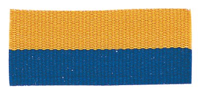 1 1/2" Blue/Gold Neck Ribbon with Snap Clip