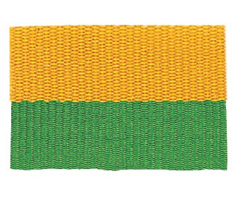 1 1/2" Green/Gold Neck Ribbon with Snap Clip