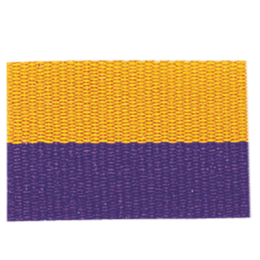 1 1/2" Purple/Gold Neck Ribbon with Snap Clip