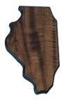 6" x 10 1/2" Walnut Finish Black Edge Illinois State Plaque