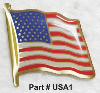 USA Flag Pin with Epoxy Dome and Clutch Back